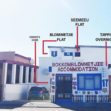 Bokkomblommetjie Lambertʼs Bay Zewnętrze zdjęcie