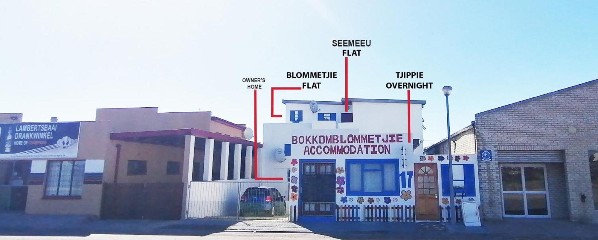 Bokkomblommetjie Lambertʼs Bay Zewnętrze zdjęcie
